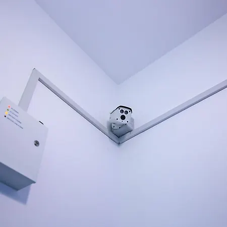 Viva La Vida * Braşov