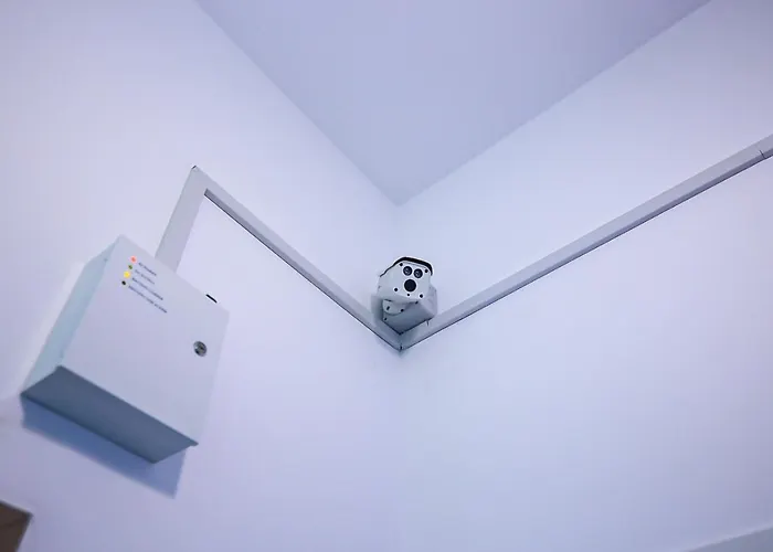 Viva La Vida * Braşov