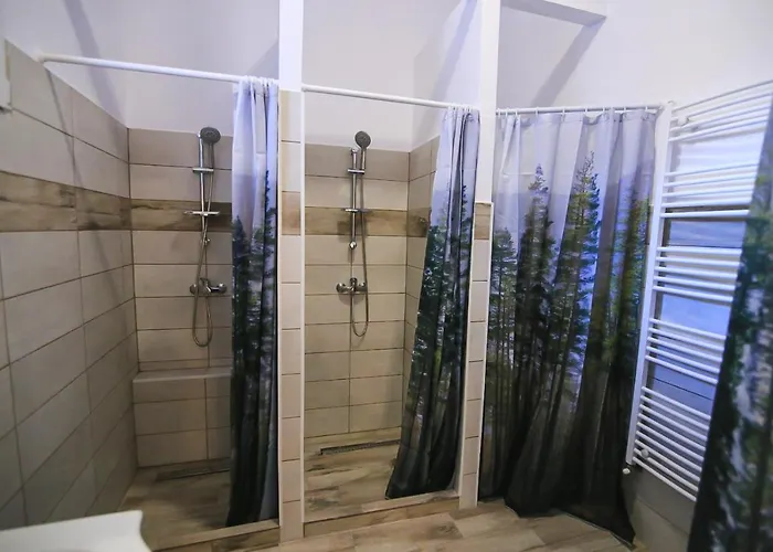 Viva La Vida * Brasov